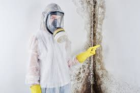 Mold Documentation for Insurance Claims in Kill Devil Hills, NC